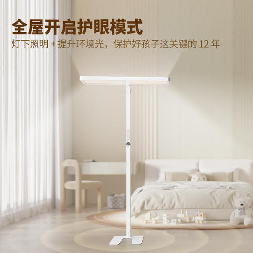 憩尔目-红养系列 压轴稀土光大路灯L1（户外级4000Lux版）憩尔目户外级大路灯 学生专用 商品图4