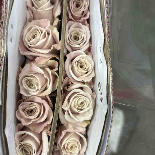 佰盛美曼塔 商品图1