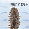 【正宗同仁堂品牌】北京同仁堂 青源堂  淡干海参250克  高蛋白高营养SY 商品缩略图4