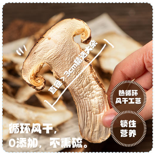贡极松茸.家庭装 野生松茸100g 商品图5