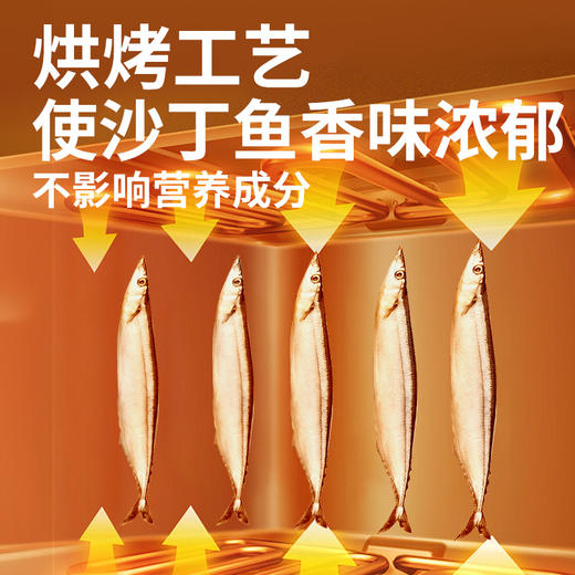 伊纳宝 烤沙丁鱼（猫用宠物零食 原味 预防毛球）16g*48/箱 商品图1