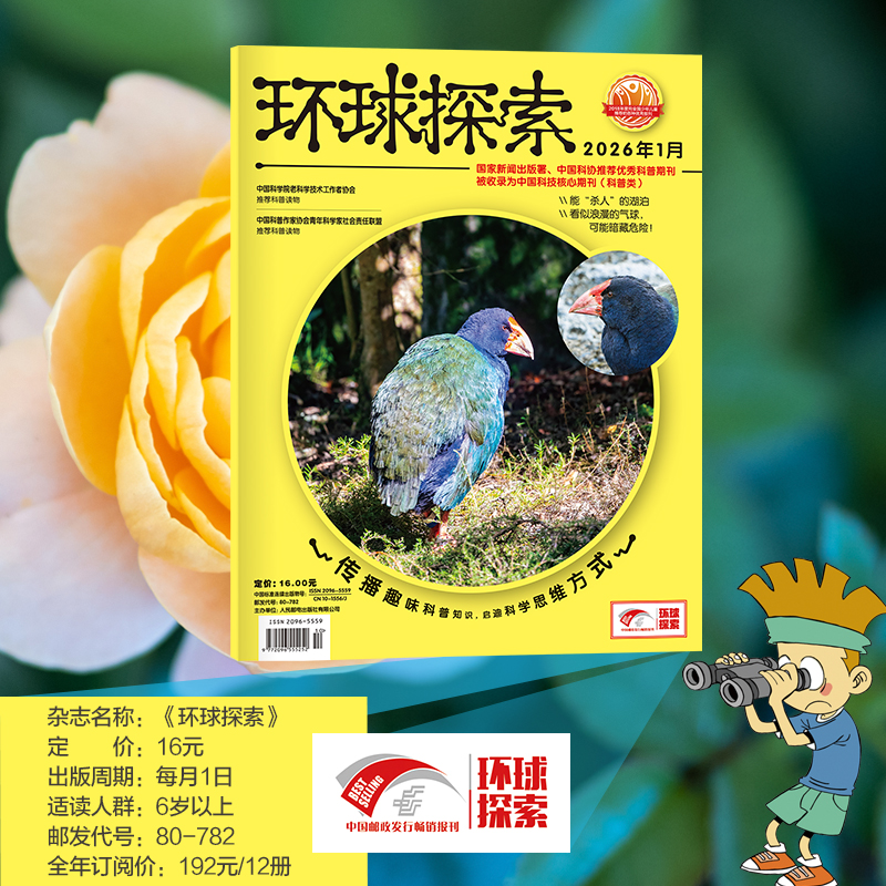 【预售】环球探索杂志2026全年杂志订阅（全年订阅刊 1-12月 每月月中下旬发货）