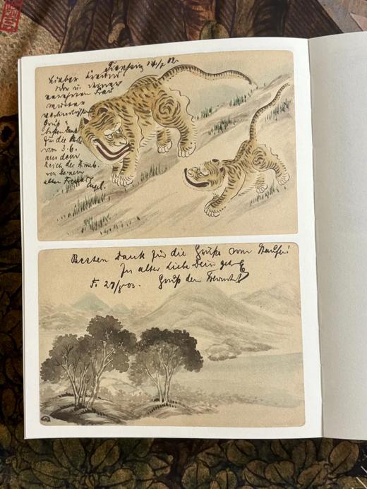 《片墨寄沧海 晚清明信片绘事》 商品图13