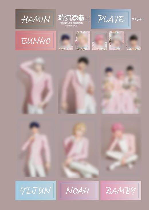 韓流ぴあ 2025年11月号 増刊特別版 商品图1