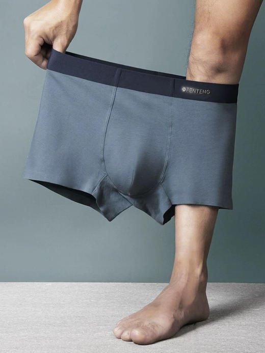 男士芬腾内裤4条 商品图0