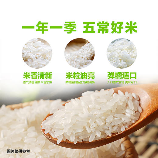 金龙鱼稻谷鲜生6步鲜东北生态五常米5kg 商品图4