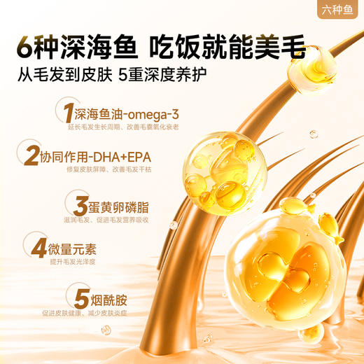 耐威克极鲜六种鱼冻干猫粮｜少掉毛｜美毛粮 商品图3