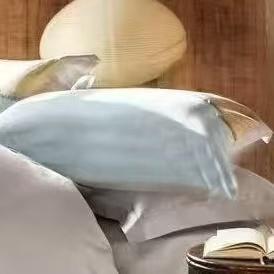 10楼恐龙    全棉生态印花四件套 木舒-兰 200*230cm   吊牌价1680元   活动价399元 商品图4