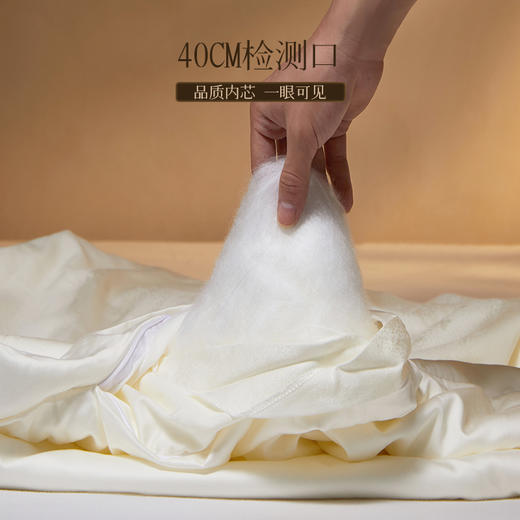 多喜爱 韵雅悠然桑蚕丝被/冬被/子母被系列【100%桑蚕丝】【60S天丝棉面料】【内外双A类】【金银提花工艺】多款厚度 四季通用 珍珠烫钻 拉链设计  40CM大检测口 商品图3