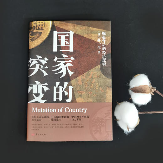 国家的突变：崛起背后的经济逻辑 商品图6