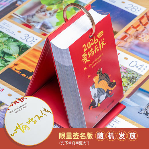 预售 预计10月初发货 爱猫无忧 喵呜不停2026日历 猫咪日历2026年街猫日历全新上市365天台历可爱猫咪写真萌宠日历 商品图1