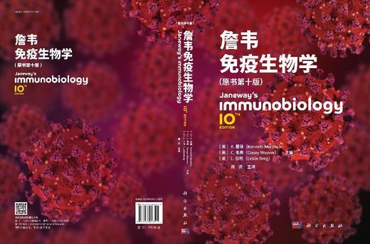 詹韦免疫生物学（原书第十版） 商品图3