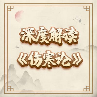 全面解读《伤寒论》优惠价 商品图0