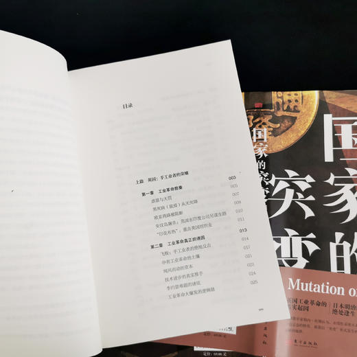 国家的突变：崛起背后的经济逻辑 商品图3