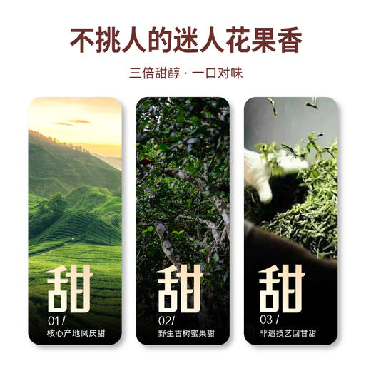 贝叶集松风野生古树红茶松风75g 商品图2