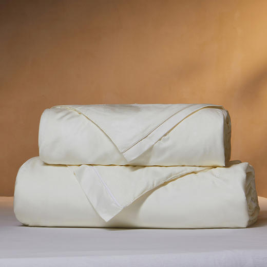 多喜爱 韵雅悠然桑蚕丝被/冬被/子母被系列【100%桑蚕丝】【60S天丝棉面料】【内外双A类】【金银提花工艺】多款厚度 四季通用 珍珠烫钻 拉链设计  40CM大检测口 商品图9