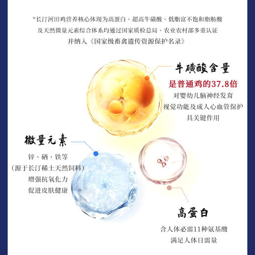 【长汀河田鸡】林间散养吃五谷杂粮 礼盒包装 冷链速运 商品图4