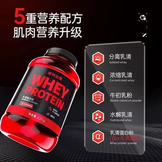 红魔蛋白粉 诺特兰德乳清蛋白粉5磅 蛋白质粉男女健身蛋白营养增肌 商品图2