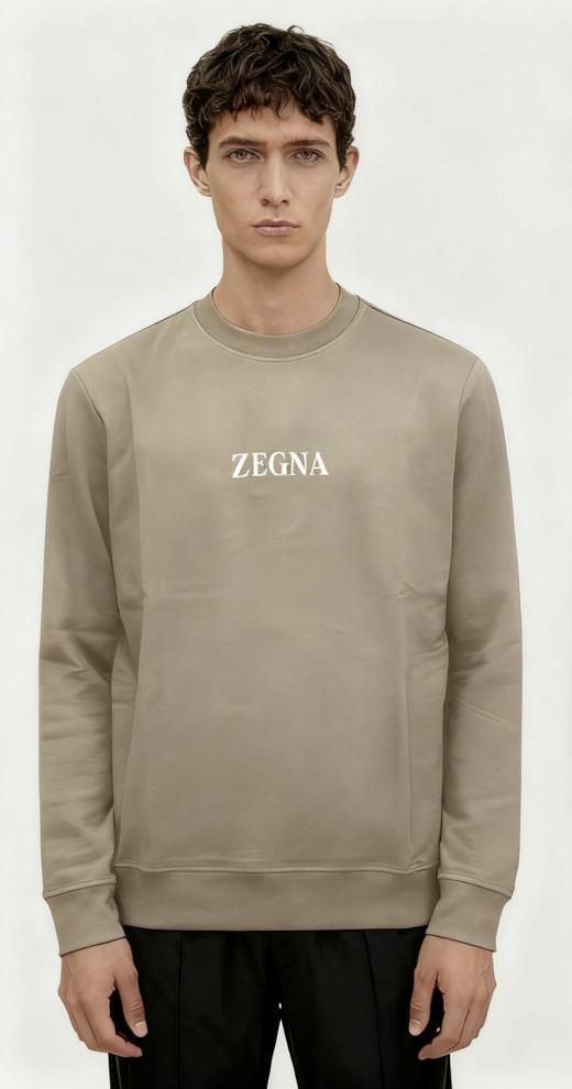 E.Z 杰尼 铜氨丝圆领卫衣 WY913 商品图0