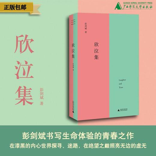 欣泣集 彭剑斌/著 短篇小说 卡夫卡 青春迷惘  自我揭露  文学 不检点与倍缠绵书 广西师范大学出版社 商品图0