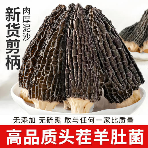 【头茬短柄肉厚】在菌屋 云南短柄羊肚菌干货50g/袋 精选6-8公分大个头 仿野生种植 肉厚无沙 菌香浓郁 商品图0