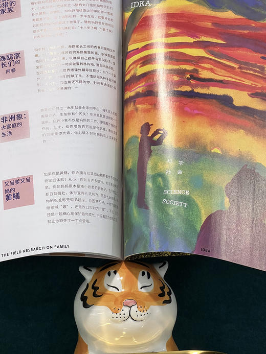 三联青少年刊《少年新知》2025年9月-2026年8月跨年预定，共12期，赠3本随机赠刊，每月1期包邮到家，给孩子广阔、有见地的阅读 商品图10