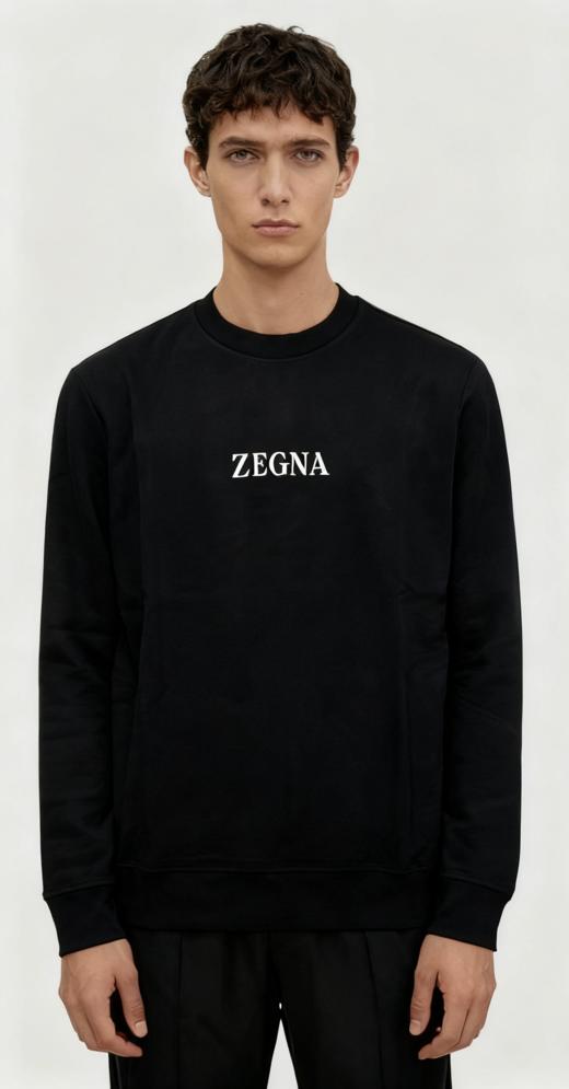 E.Z 杰尼 铜氨丝圆领卫衣 WY913 商品图1