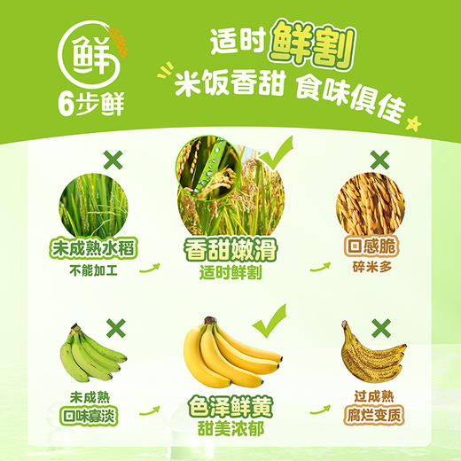 金龙鱼稻谷鲜生6步鲜东北生态五常米5kg 商品图3