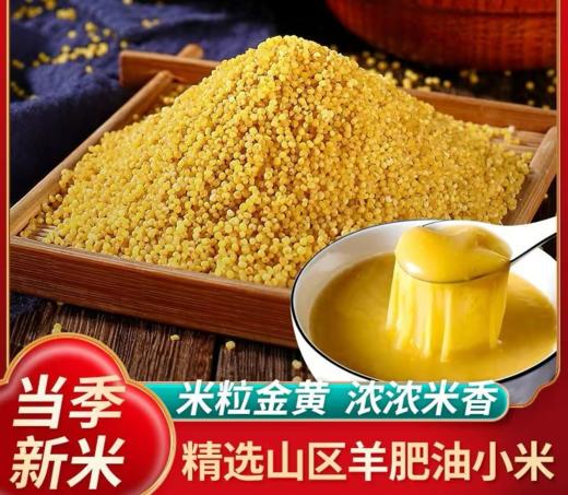 天山小米新米五谷杂粮煮粥香甜米油黄月子米熬粥佳品 商品图1