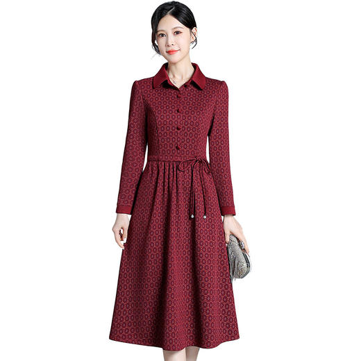 QYM 65098-Y翻领网纱印花连衣裙系带收腰中长款A字裙 商品图4