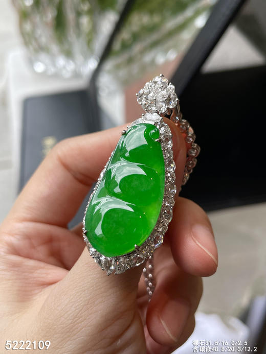 老坑高冰种艳绿富贵豆吊坠【5222109】具体价格微信咨询 商品图3