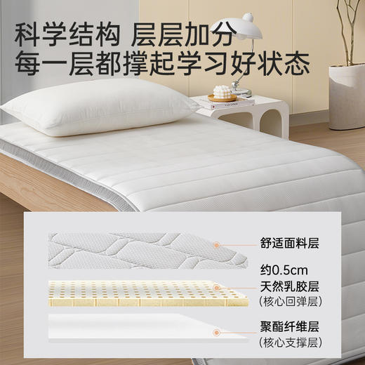 学生乳胶立体床褥垫 商品图2