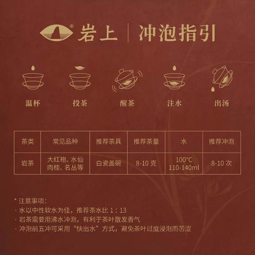 岩上 | 珍我·叠变老茶 | 60g（10gx6泡） 商品图6