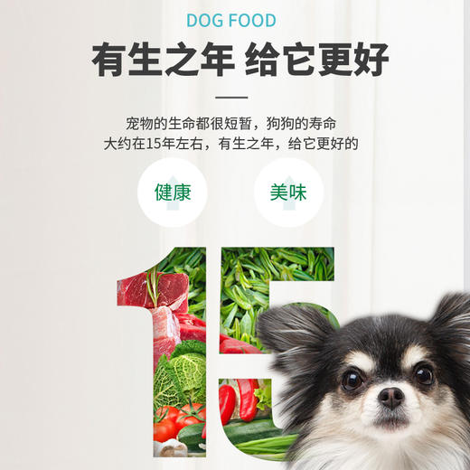 伊纳宝 综合营养食 全价成年期犬粮 鸡小胸肉牛肉配方 35g*2*48袋/箱 商品图4