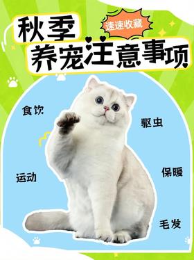 秋季养宠指南来啦！