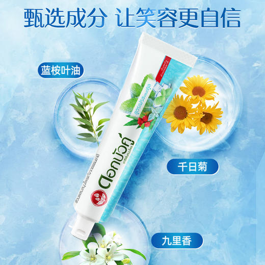 泰国双连草本牙膏清洁牙齿牙黄牙渍清新去口气护龈健齿 商品图1