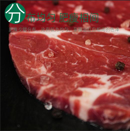 商都恒昌牛肉牛排国产新鲜日期谷饲万亩自控牧场中餐牛肉72小时排酸生长500天左右公牛肉顺丰包邮 商品图1