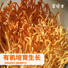 【厂商直发】有机虫草花东北特产煲汤火锅菌菇干货孢子不熏硫包邮 商品缩略图4