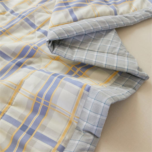 PLOVER啄木鸟(PLOVER)新疆棉花被-安德里亚-ZMN-XB012 新疆棉花被-安德里亚 200cm*230cm 商品图7