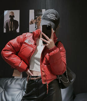 原价299福利价北面Nuptse三格短款羽绒服092303