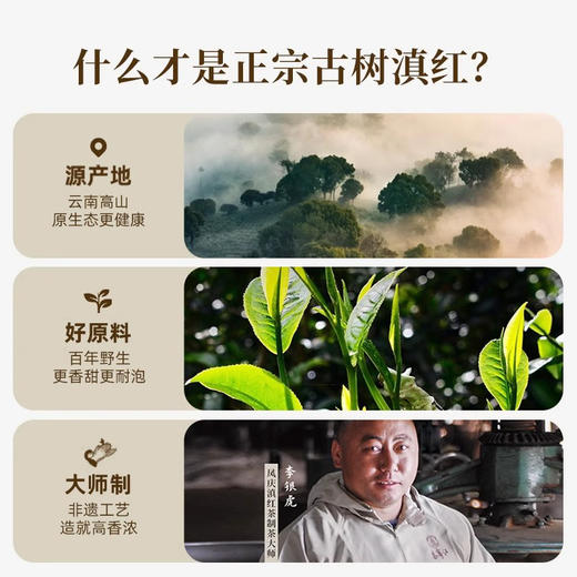 贝叶集松风野生古树红茶松风75g 商品图3