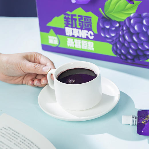 愿臻桑葚原浆 商品图3