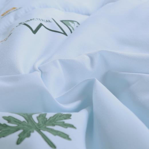 PLOVER啄木鸟家纺艾草被-夏被 天蓝色 200cm*230cm 商品图3