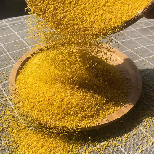 2025新米山东沂蒙山米脂黄小米 商品图5