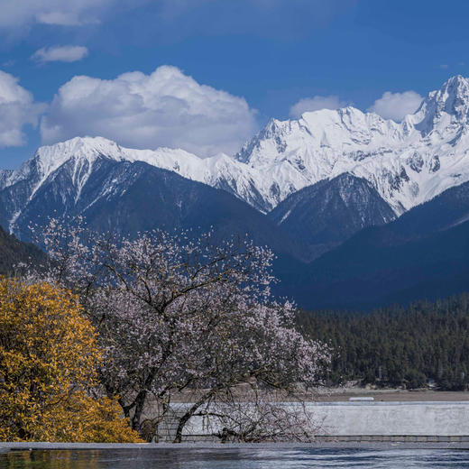 6天5晚圣诞/元旦团期【松赞 | 冰川环线 最美四百公里 6天5晚自由行】西藏松赞波密来古南迦巴瓦深度体验，全程松赞系列酒店，含接送机及全程用车、酒店早餐、下午茶~ 商品图2