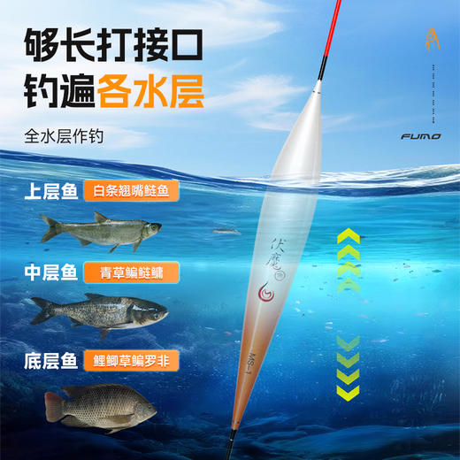 佳钓尼翘嘴纳米漂防断硬尾高灵敏度专攻翘嘴草鱼等大物延长雾化接口更清晰 商品图3