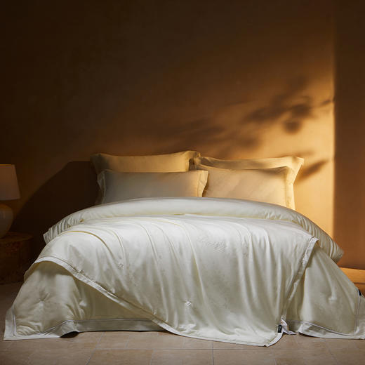 多喜爱 韵雅悠然桑蚕丝被/冬被/子母被系列【100%桑蚕丝】【60S天丝棉面料】【内外双A类】【金银提花工艺】多款厚度 四季通用 珍珠烫钻 拉链设计  40CM大检测口 商品图7