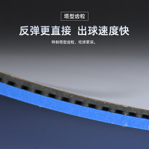 七二九729省队一号蓝海绵奔腾2专业乒乓球胶皮免灌内能高粘性正手反胶套胶 商品图3