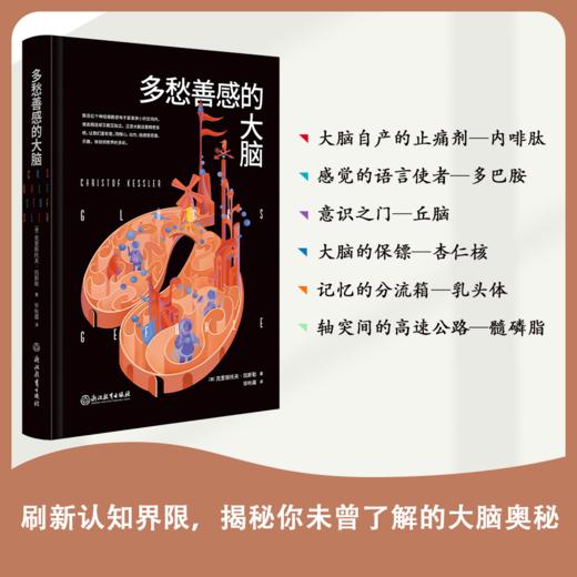 【樊登好书】思维方式系列：为什么我们会被愚弄+放弃的艺术+嗜思认知者+出色表现的秘密+多愁善感的大脑 商品图5
