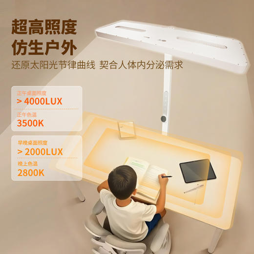 憩尔目-红养系列 压轴稀土光大路灯L1（户外级4000Lux版）憩尔目户外级大路灯 学生专用 商品图8